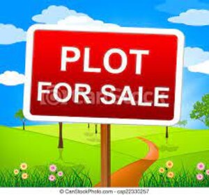  Land For Sale in Sector 115