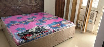 1 BHK Apartment For Rent in Supertech Ecovillage I, Sector 1 Greater Noida