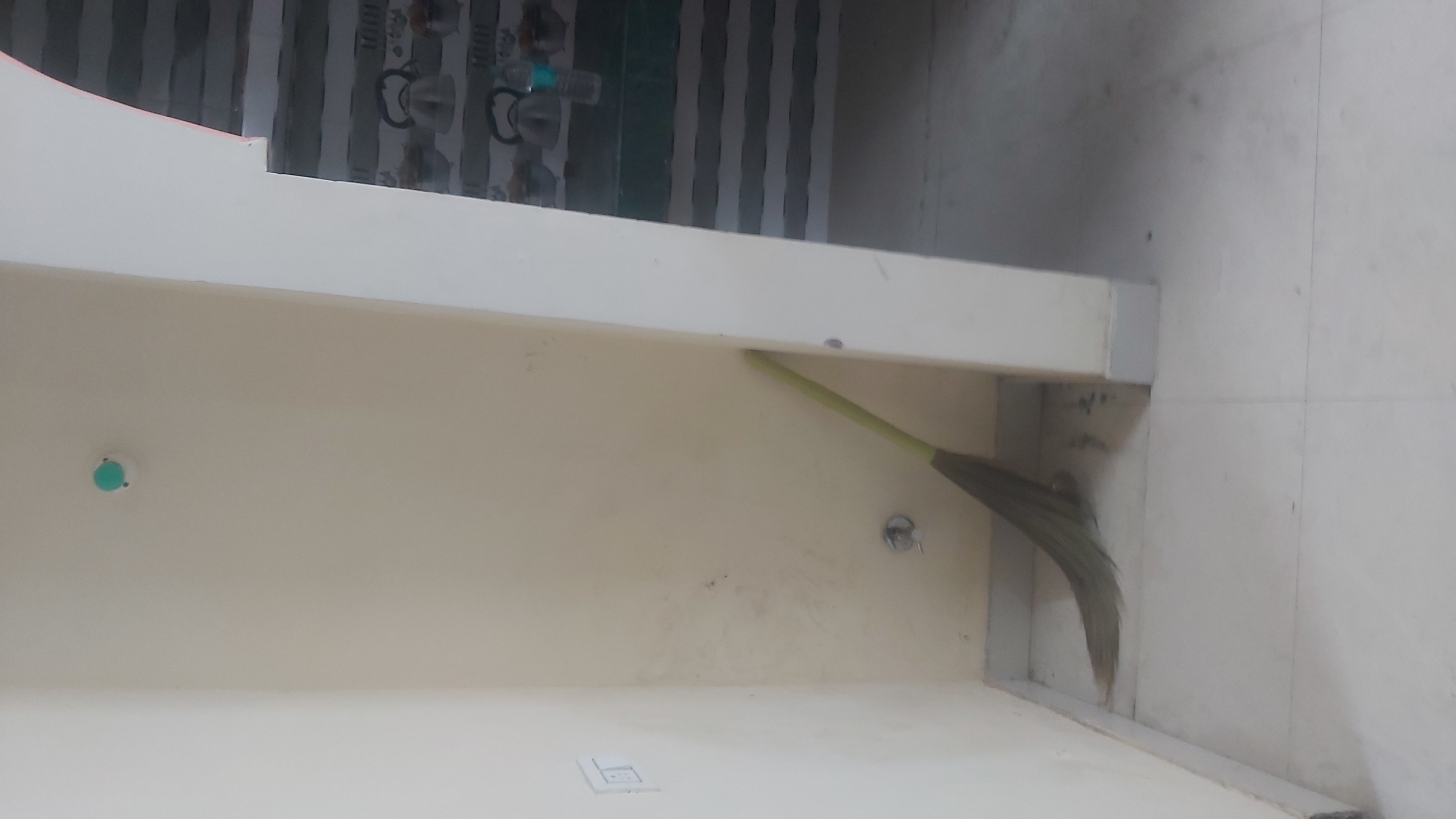 2.5 BHK Builder Floor For Rent in Patparganj Village Opp un