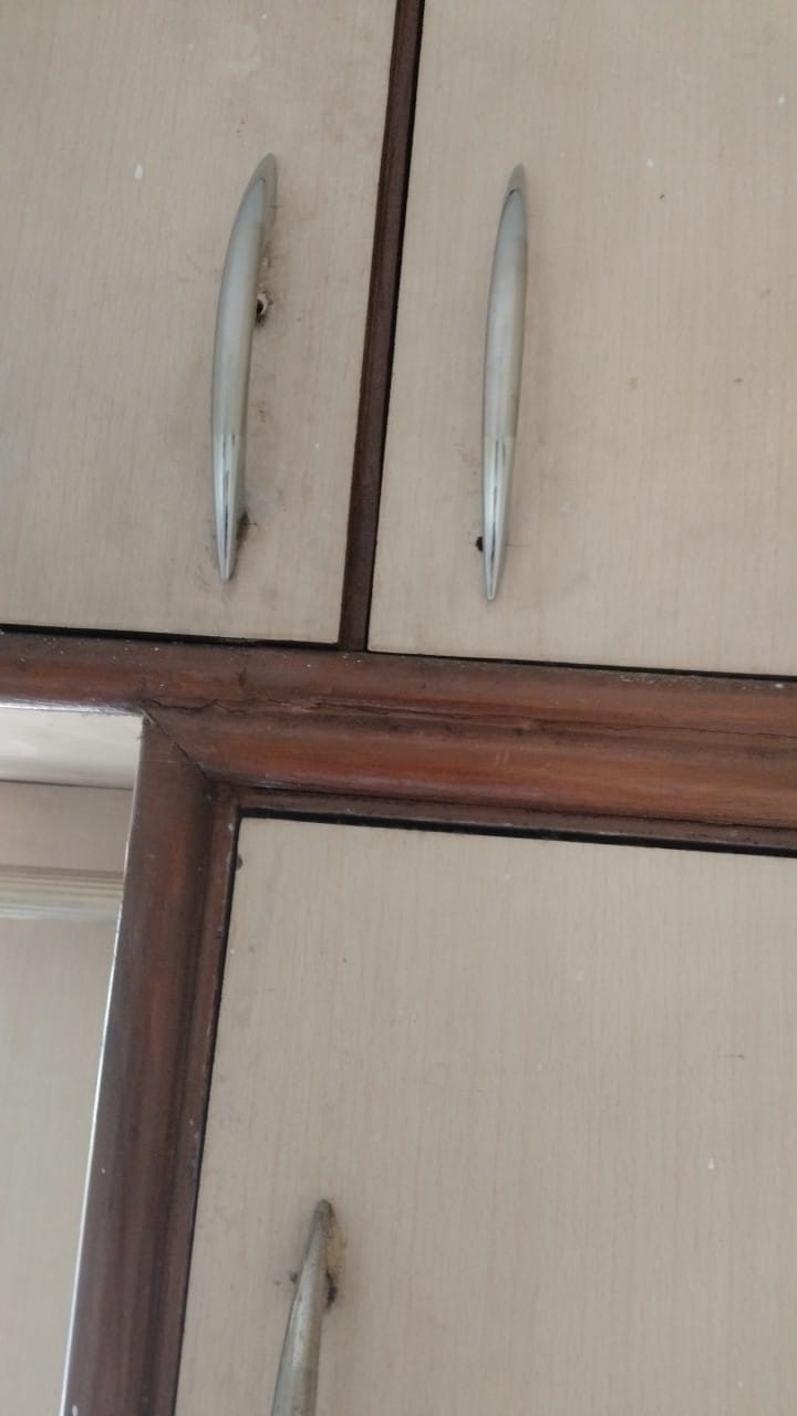 2 BHK Apartment For Rent in Chandan Garden