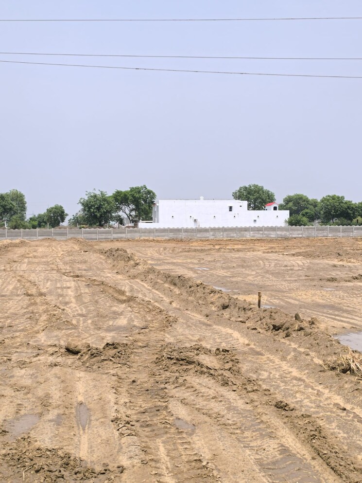 undefined, dankaur  100 Sq.Yd. Plot In Dankaur Greater Noida 8654163
