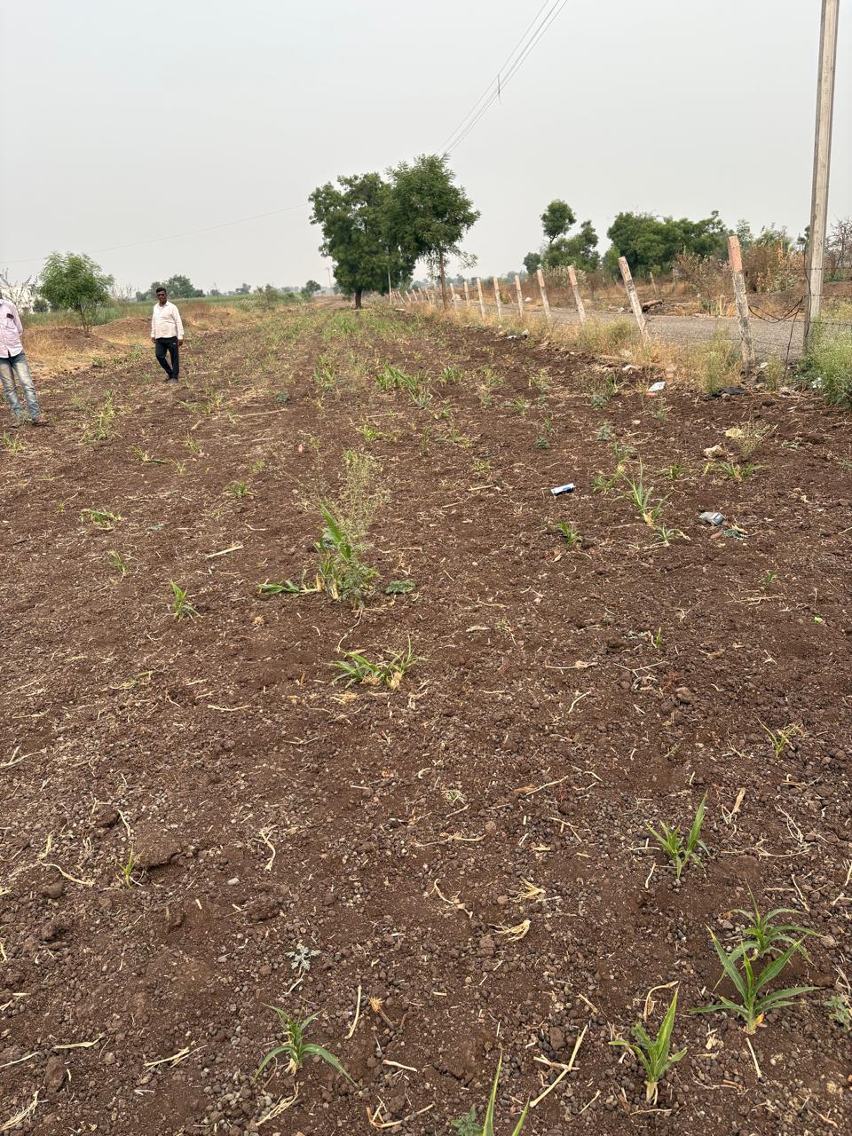 Plot For Sale in Awhalwadi