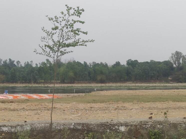 undefined, shimla bypass road  300 Sq.Yd. Plot In Shimla Bypass Road Dehradun 8652460