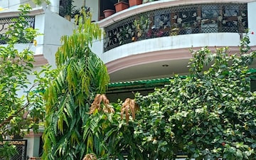 2 BHK Villa For Rent in Vijay Tower Gomti Nagar, Gomti Nagar