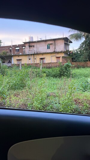  Plot For Sale in Palasuni