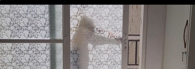 Master Plan, mahavir enclave 2 Bedroom 68 Sq.Yd. Builder Floor In Mahavir Enclave Delhi 8655100