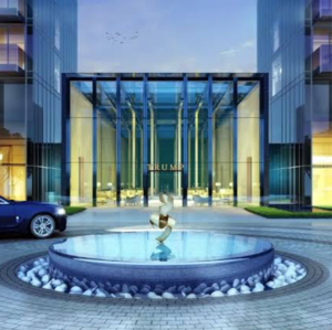 Gym in 4 BHK Apartment at Trump Residences, Dhani – for Sale