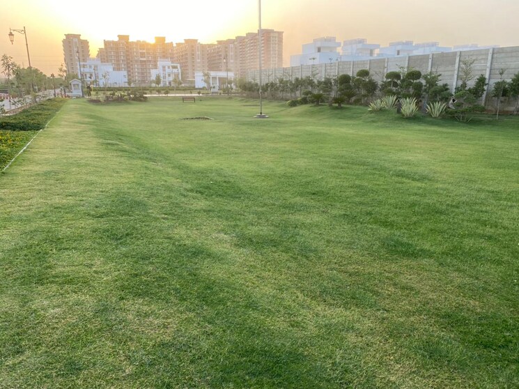 Garden, central-park-3-flower-valley 3 Bedroom 1230 Sq.Ft. Builder Floor In Sohna Sector 33 Gurgaon 8655191