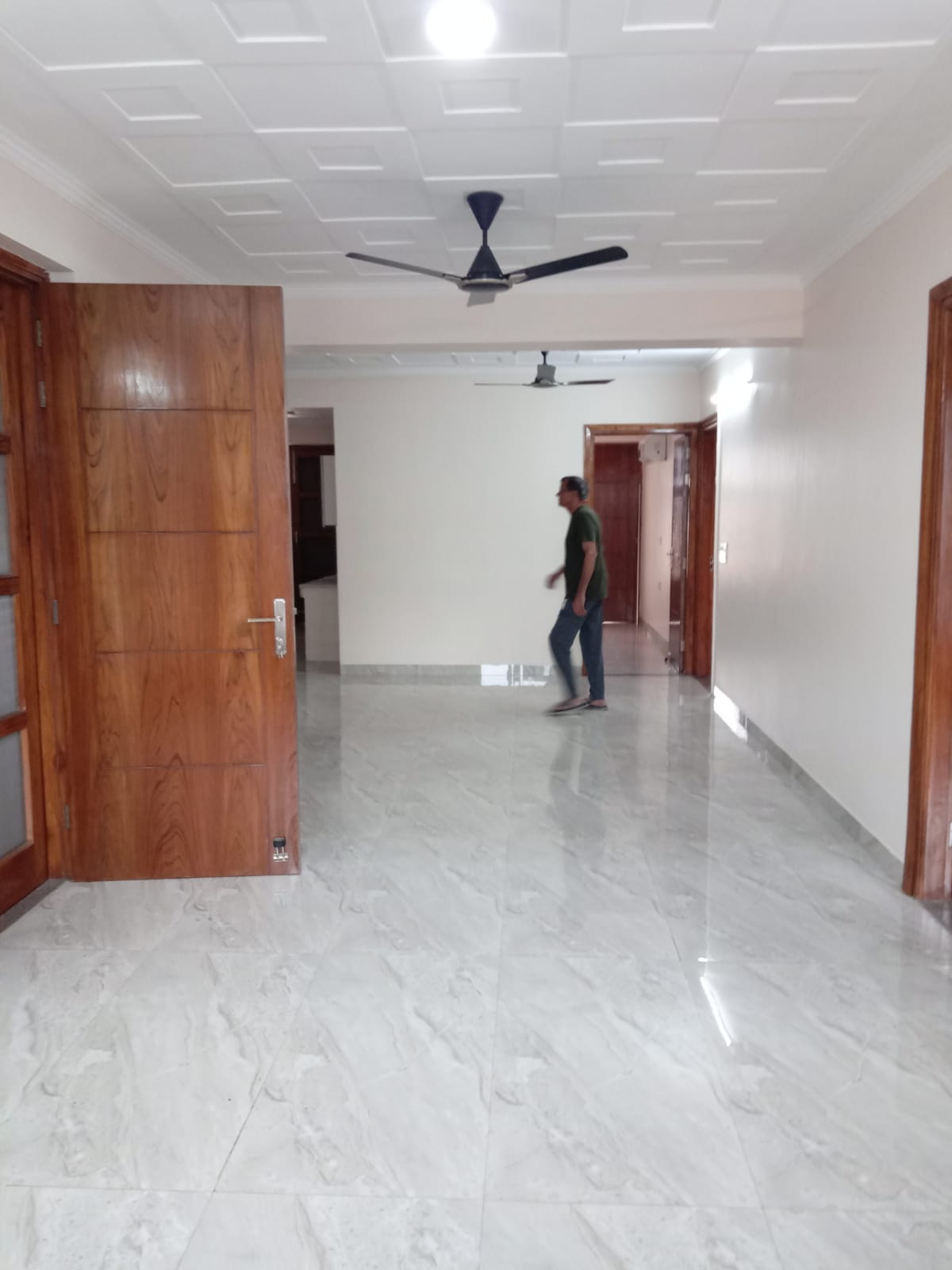 3 BHK + Study Room Builder Floor For Rent in Sushant Lok 2