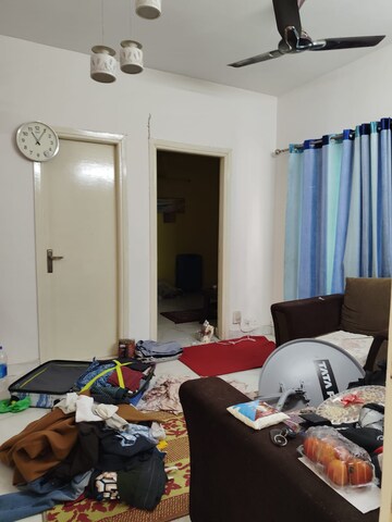 Living Room in 3 BHK Builder Floor at BPTP Elite Floors, Sector 83 – for Rent