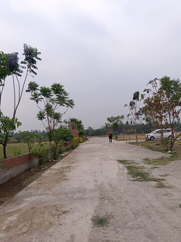  Plot – Exterior View View at Shimla Bypass Road - for Sale