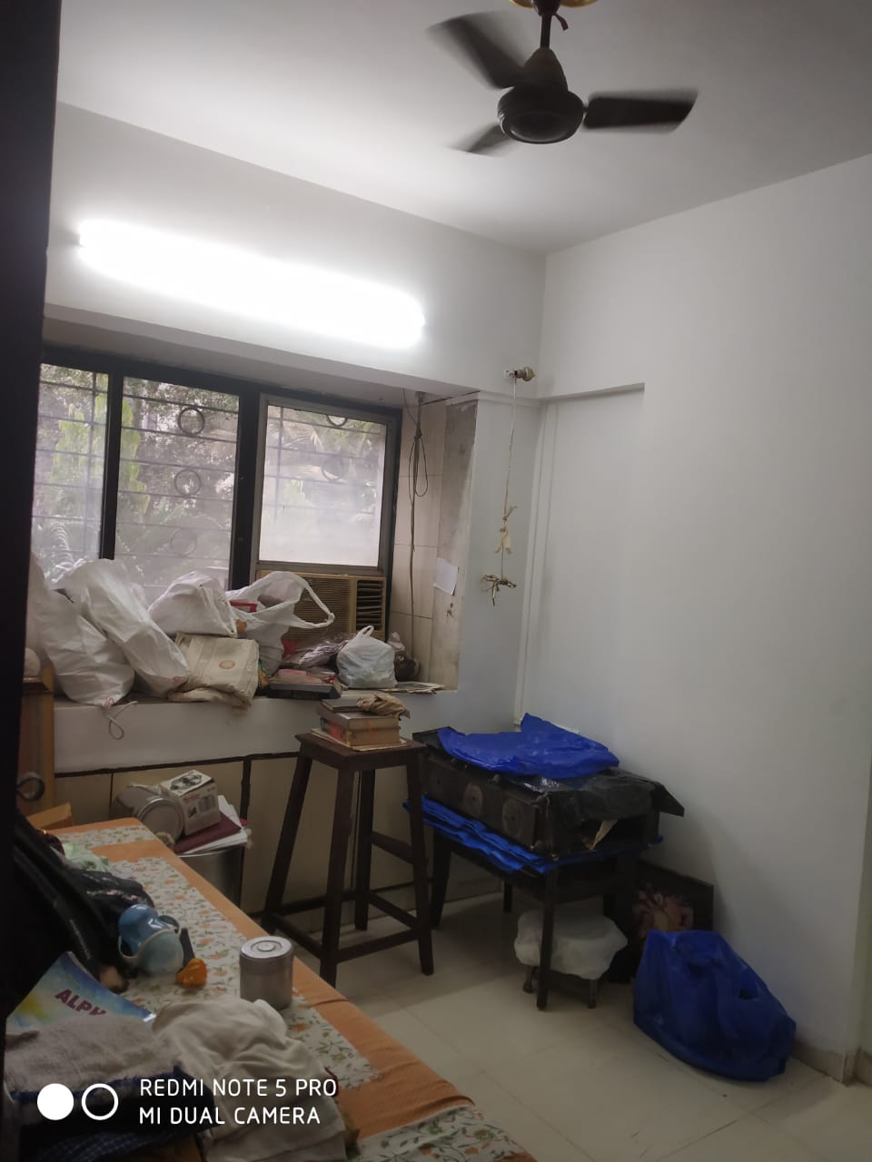 1 BHK Apartment For Rent in RNA Continental