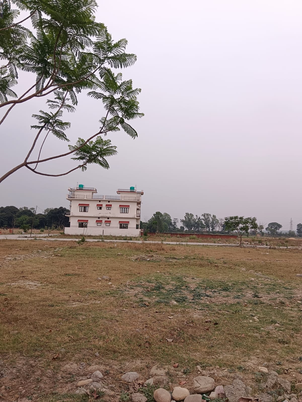 Plot For Sale in Dharma Wala Chowk 