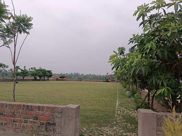 Garden, shimla bypass road  250 Sq.Yd. Plot In Shimla Bypass Road Dehradun 8655546