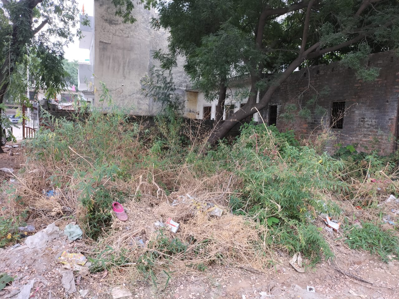 Plot For Sale in Gnida