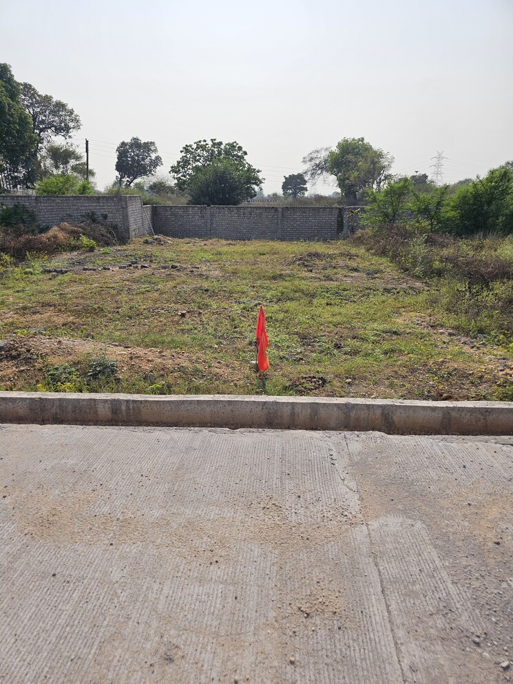 undefined, koni  1000 Sq.Ft. Plot In Koni Bilaspur 8655977