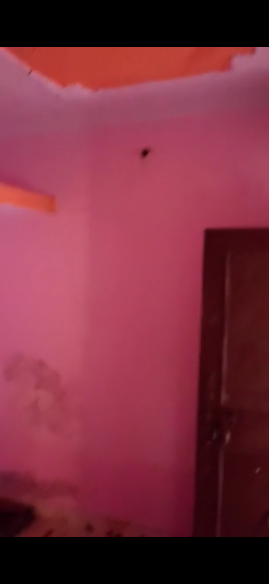 2.5 BHK + Extra Room Builder Floor For Rent in RWA Apartments Sector 26