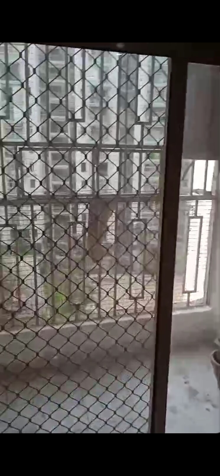 Balcony, proview-officer-city 2 Bedroom 1045 Sq.Ft. Apartment In Raj Nagar Extension Ghaziabad 8647577