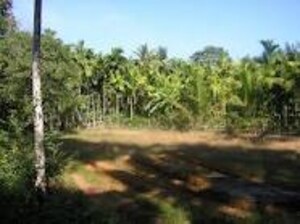 Plot Area in  Plot at JR Habitat, Chandapura – for Sale