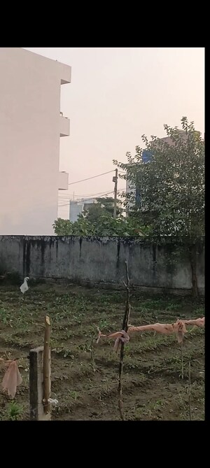  Plot For Sale in Kalindi Kunj