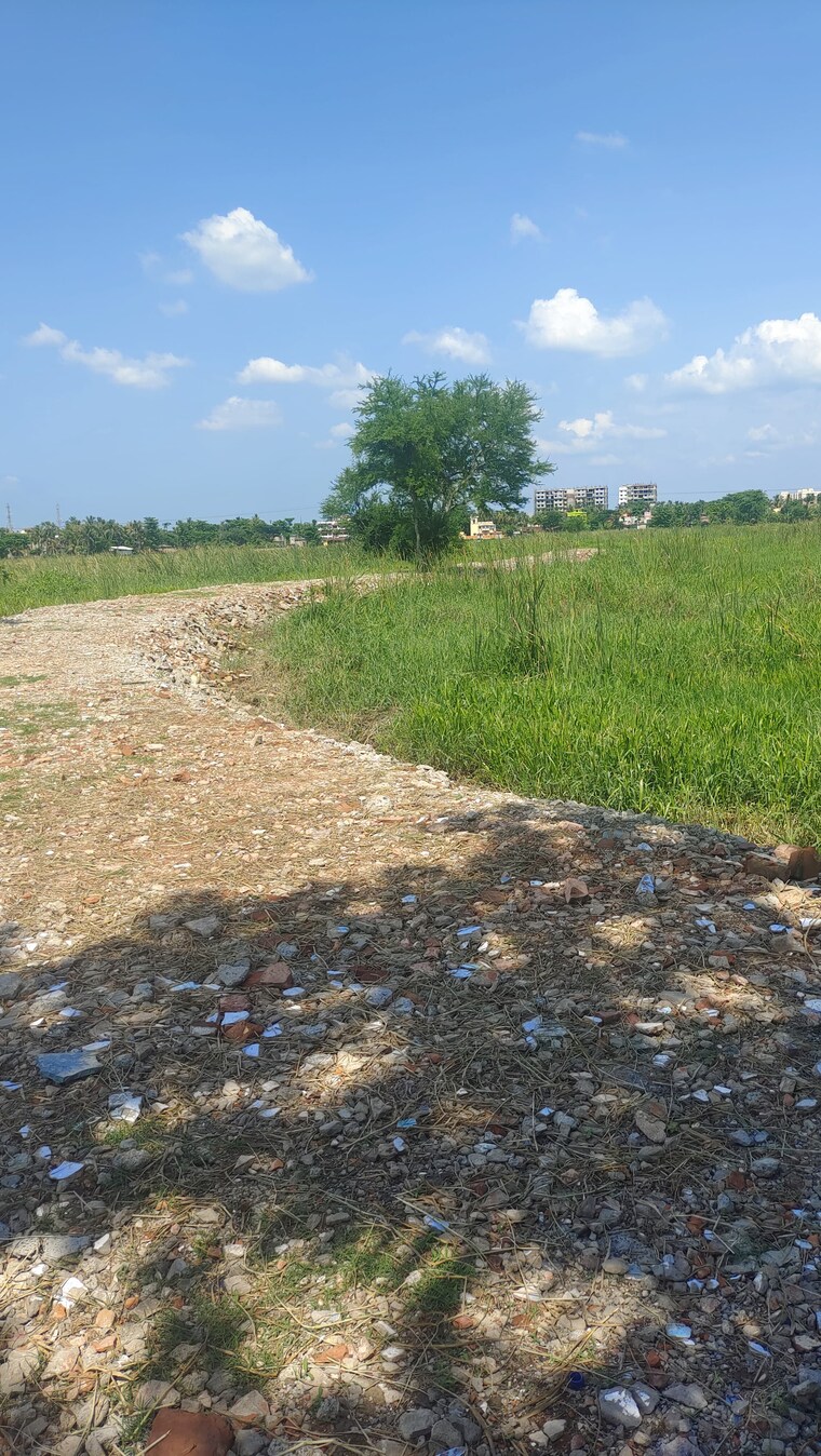 undefined, joka  3600 Sq.Ft. Plot In Joka Kolkata 8656342