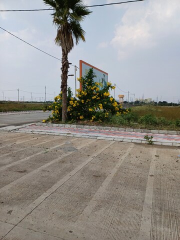 Plot Area in  Plot at Ringnodiya – for Sale