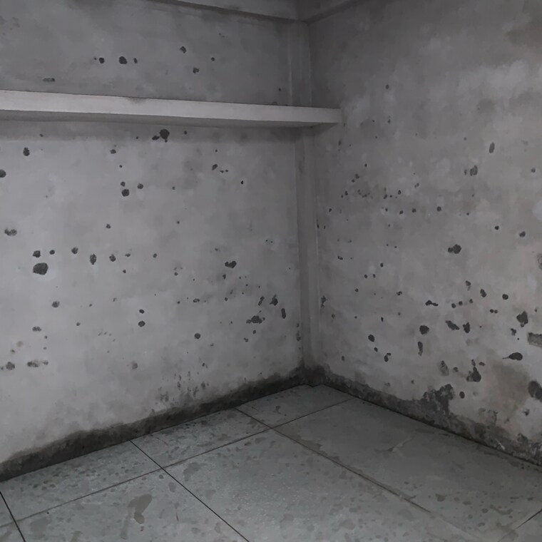 Room, talawali chanda 2 Bedroom 675 Sq.Ft. Independent House In Talawali Chanda Indore 8656605