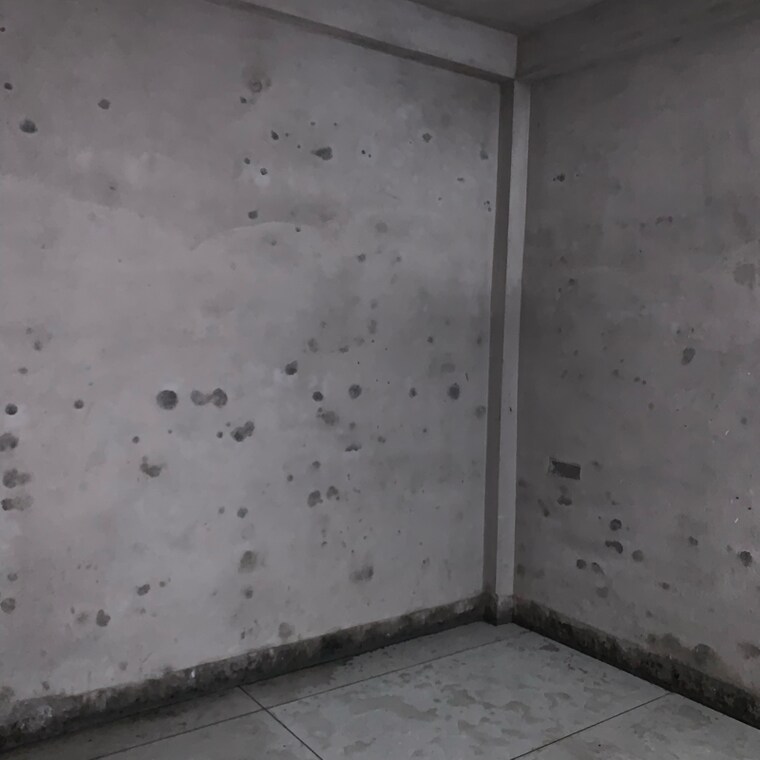 Room, talawali chanda 2 Bedroom 675 Sq.Ft. Independent House In Talawali Chanda Indore 8656605