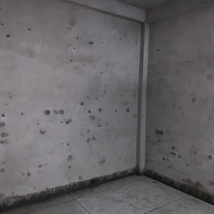 Room, talawali chanda 2 Bedroom 675 Sq.Ft. Independent House In Talawali Chanda Indore 8656605