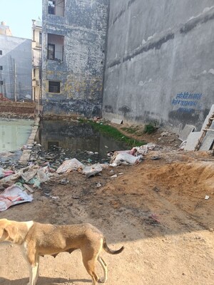  Plot For Sale in Sector 72