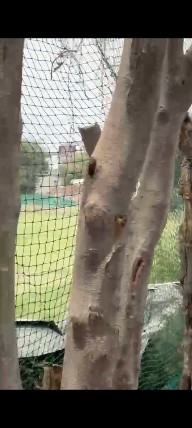 Exterior View, sector 123  50 Sq.Yd. Plot In Sector 123 Noida 8656920