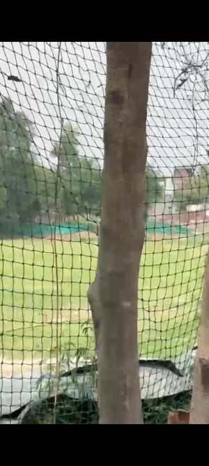  Plot For Sale in Sector 123