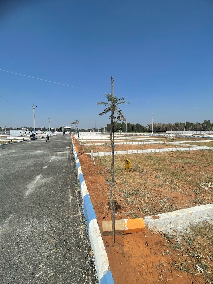 undefined, chandapura anekal road  1200 Sq.Ft. Plot In Chandapura Anekal Road Bangalore 8657282