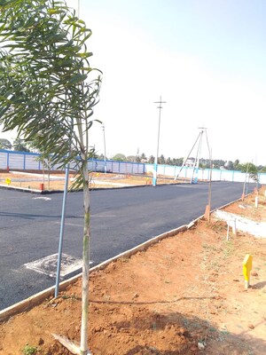  Plot – Exterior View View at Chandapura Anekal Road - for Sale