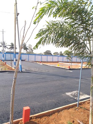  Plot – Exterior View View at Chandapura Anekal Road - for Sale