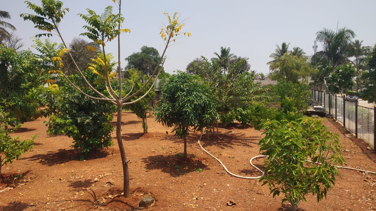 undefined, white-county  1500 Sq.Yd. Plot In Bommasandra Bangalore 8657715