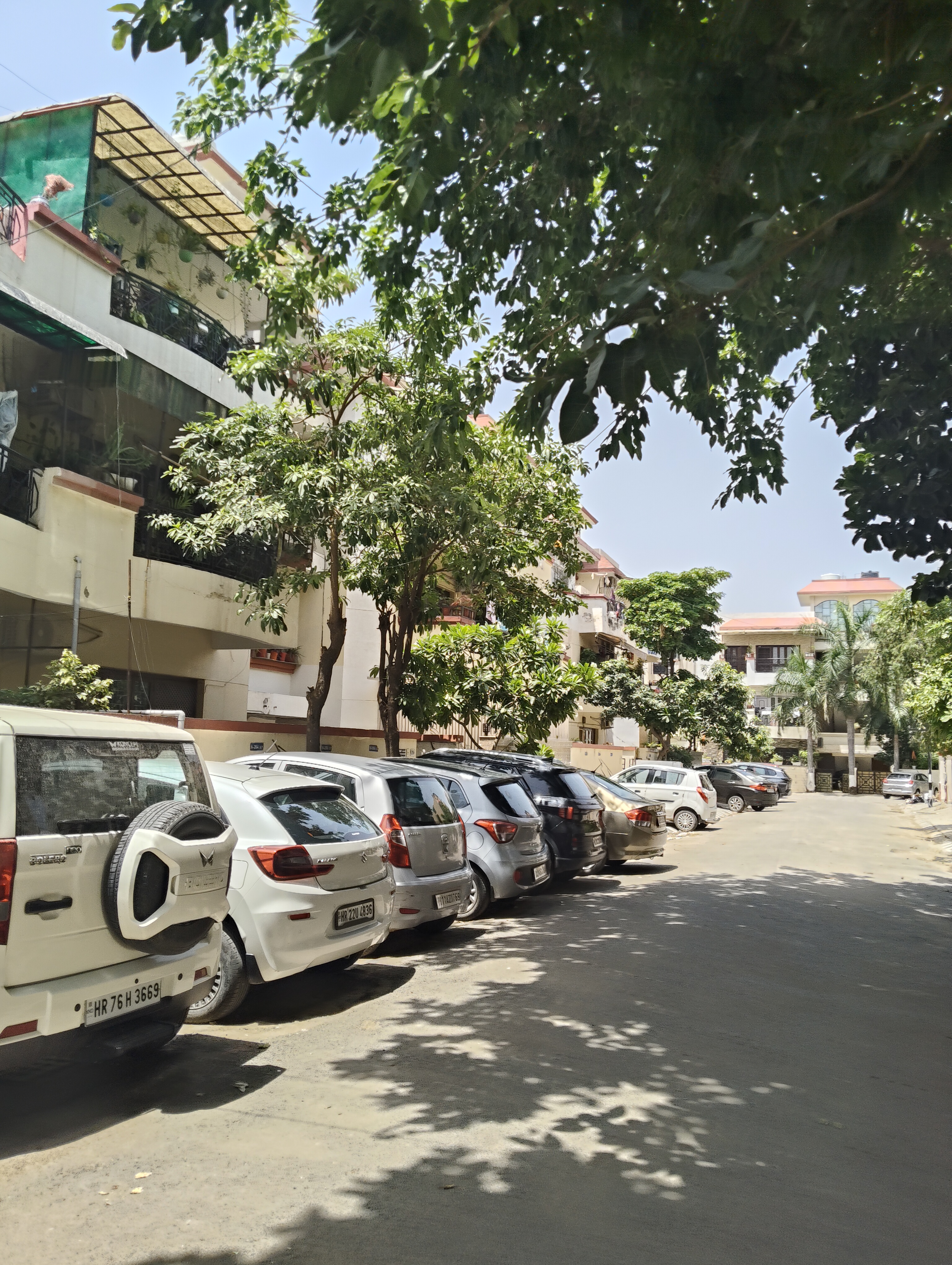 2 BHK Builder Floor For Rent in SS Mayfield Gardens