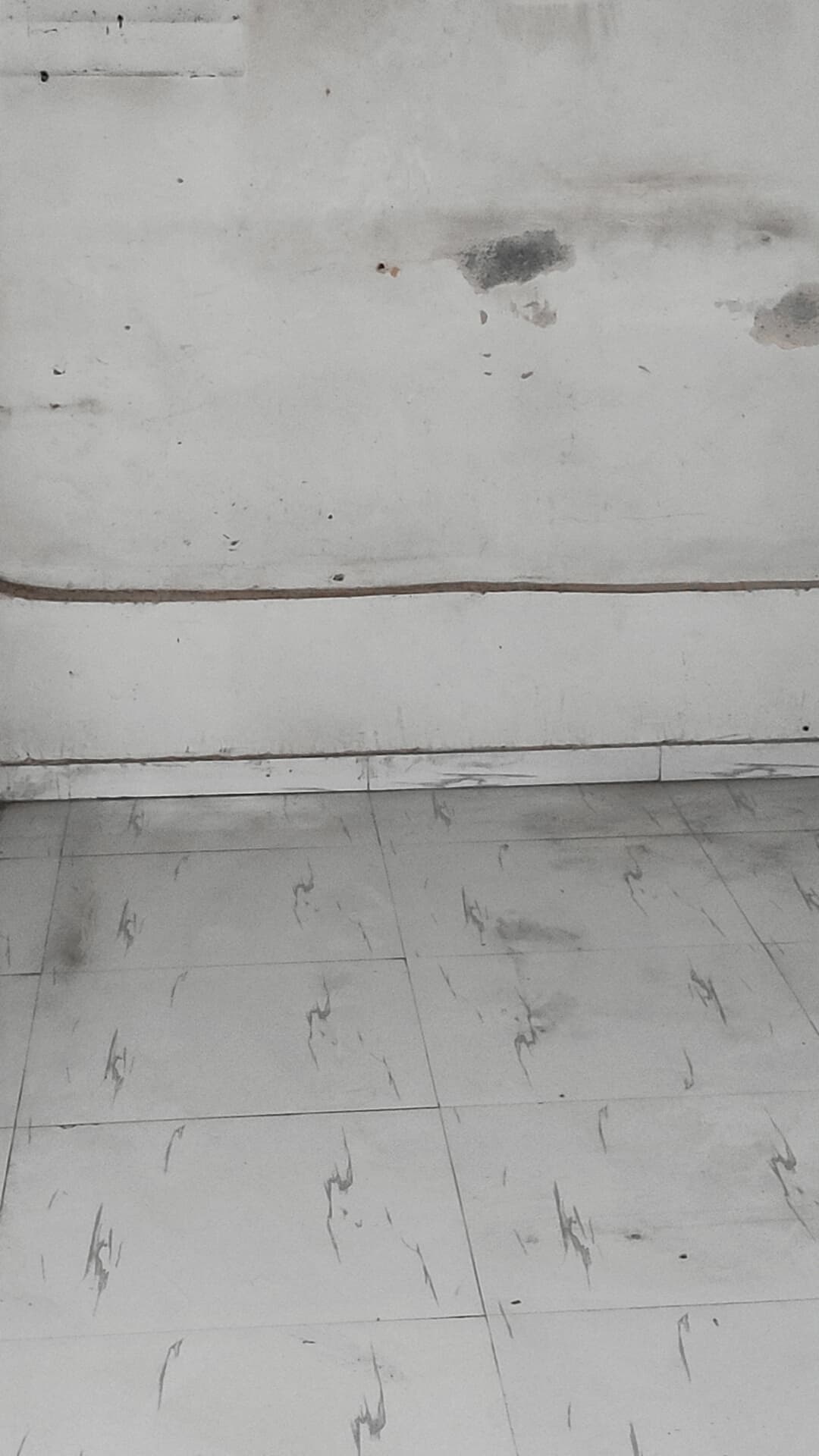 Retail Shop For Sale in Prime Home 