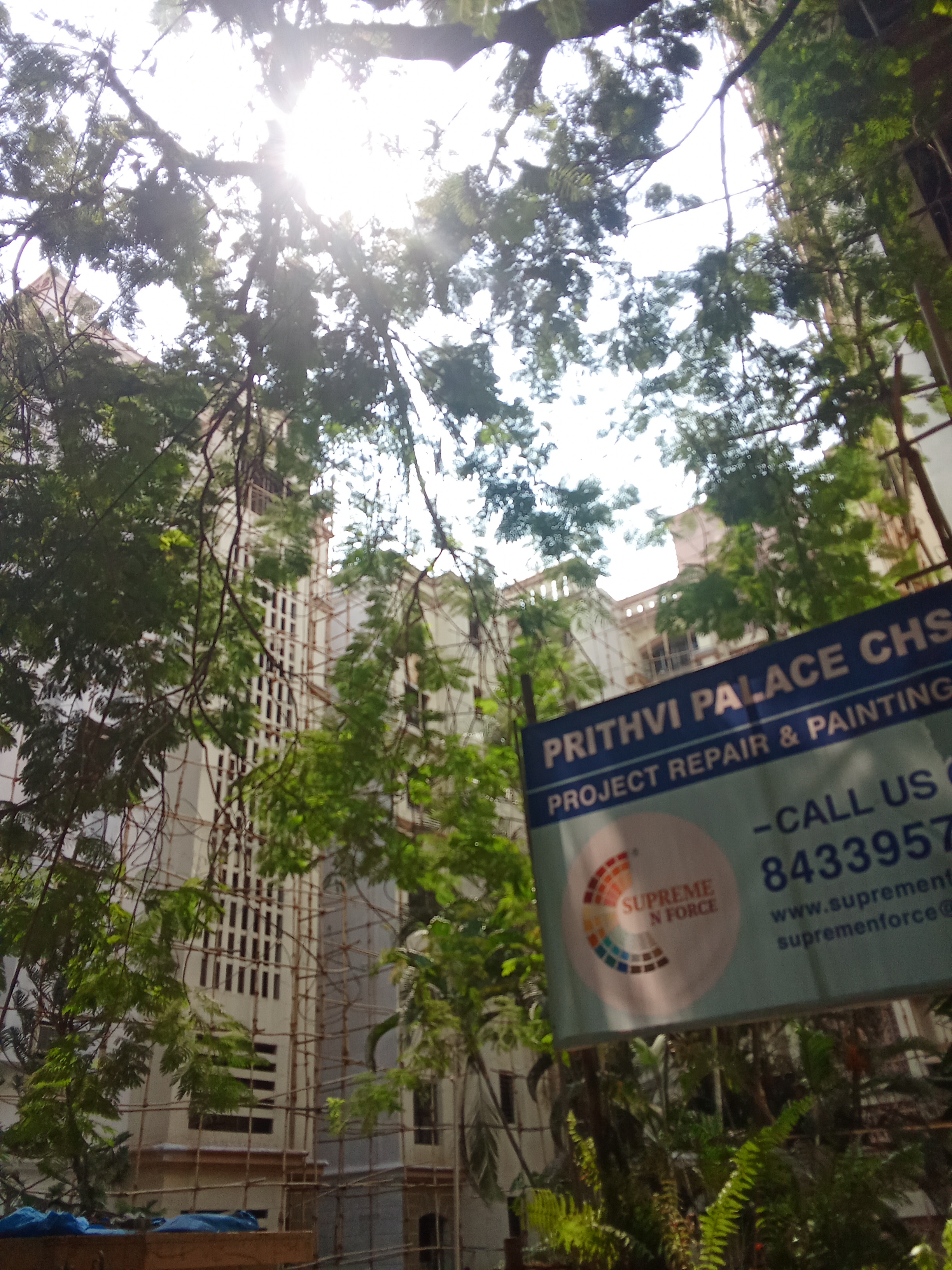 1 BHK Apartment For Rent in Prithvi Palace