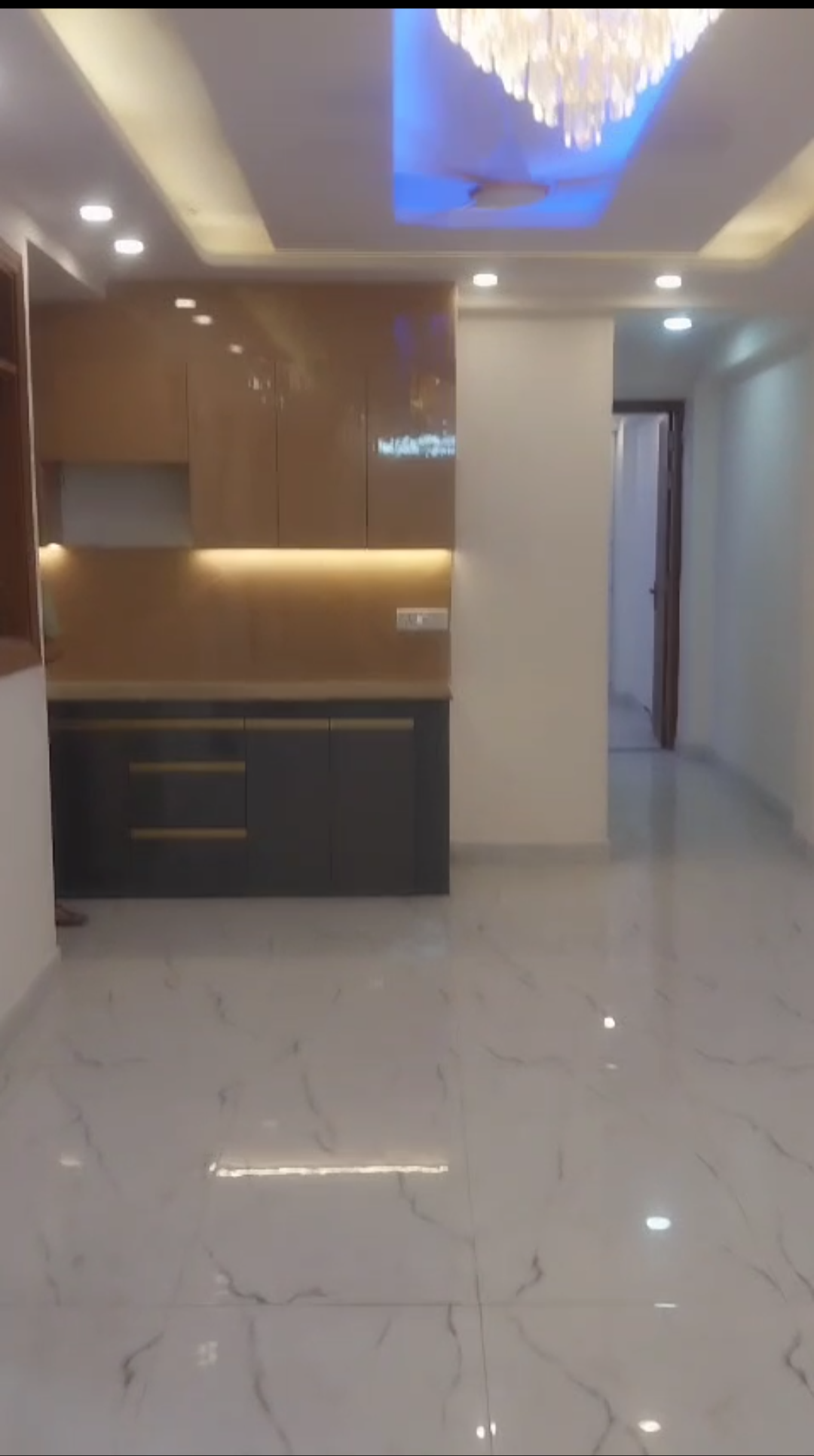 3 BHK + Pooja Room,Study Room Builder Floor For Sale in Panchsheel Vihar 