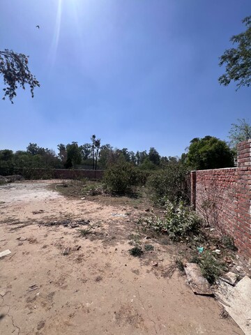 Plot Area in  Plot at Sector 17 Yamuna Expressway – for Sale