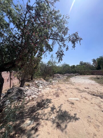Plot Area in  Plot at Sector 17 Yamuna Expressway – for Sale