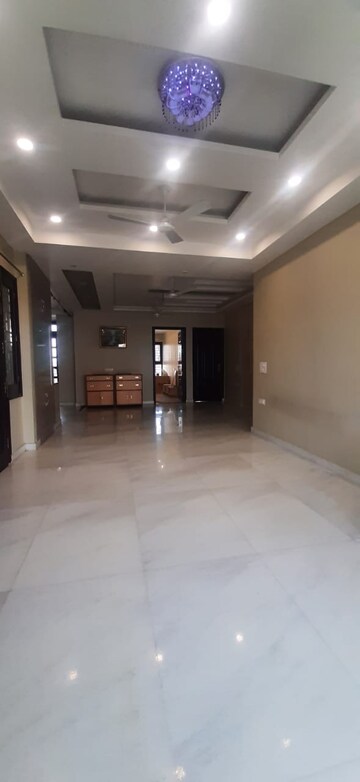 3 BHK Builder Floor For Rent in Sector 46