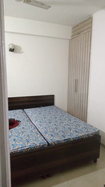 2 BHK Apartment For Sale in ROF Aalayas, Sector 102