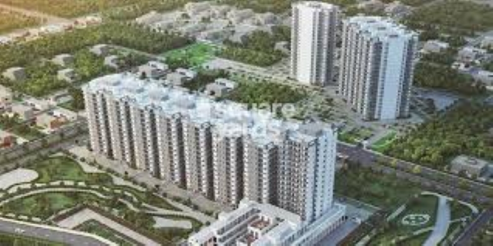2 BHK 569 Sq.Ft. Apartment in Signature Roselia Phase 2