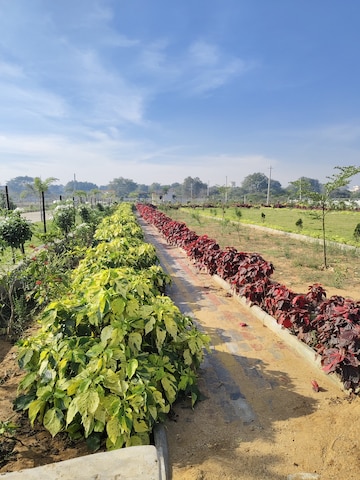  Plot – Garden View at Amerispace Dream Meadows, Kothur - for Sale