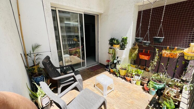 Balcony, goyal-my-home-mh-14 2 Bedroom 750 Sq.Ft. Apartment In Punawale Pune 8660839