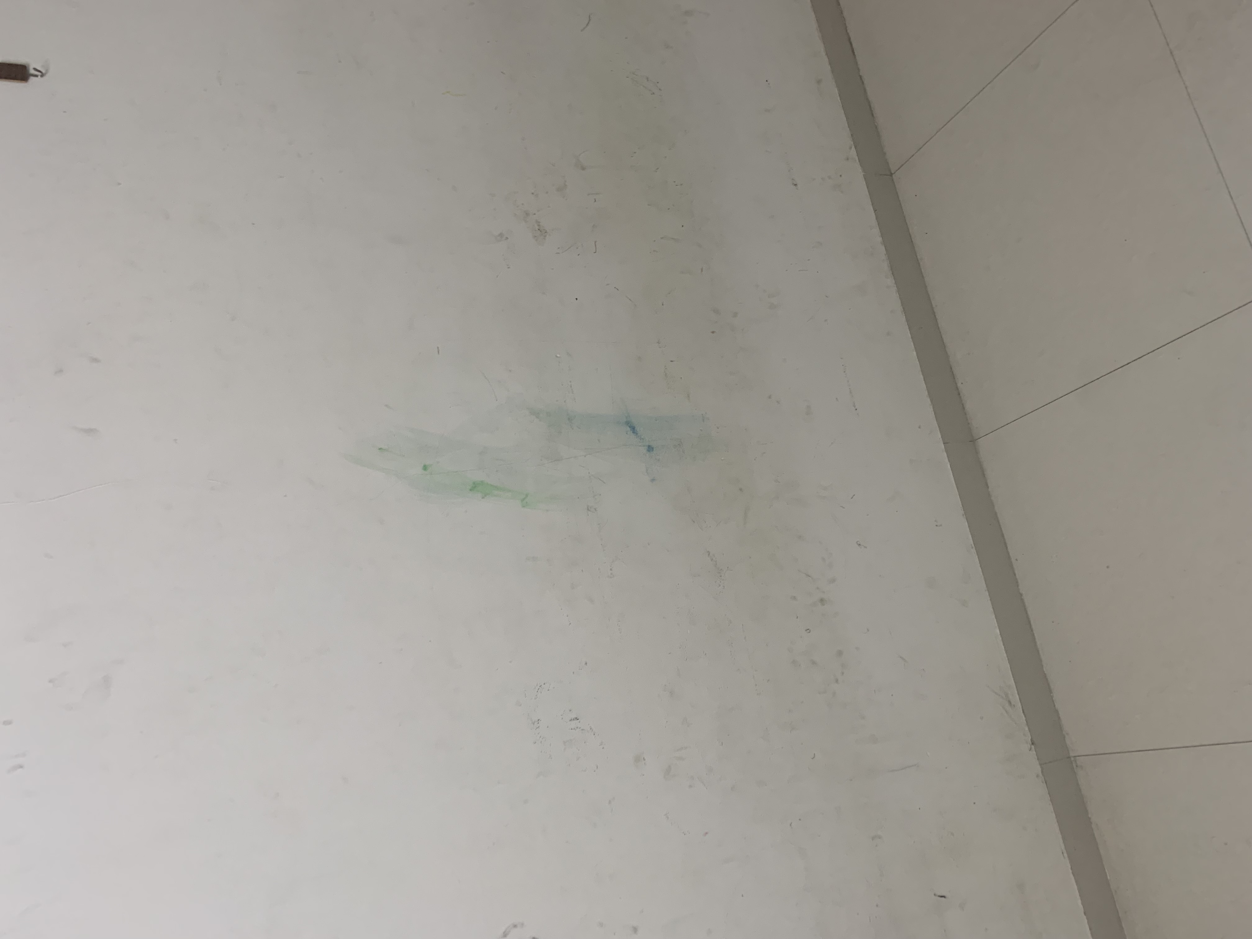 1 BHK 450 Sq.Ft. Apartment in ADI W 57