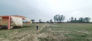 Plot Area in  Plot at Chhata – for Sale