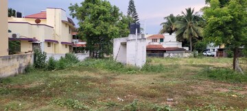 Plot Area in  Land at Pappampatti Pirivu – for Sale